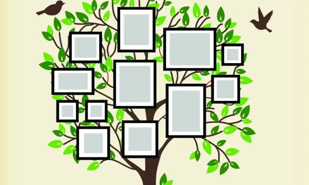 Melhores Aplicativos de Genealogia