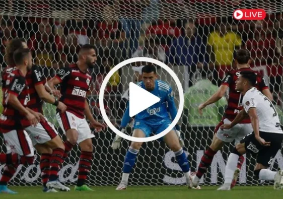 futebol