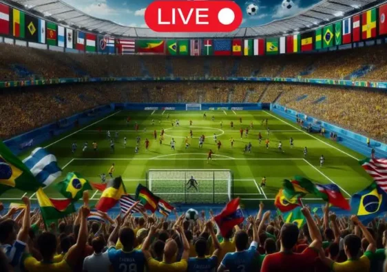 brasileirão 2024